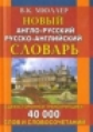 Новый англо-русский, русско-английский словарь. 40 000 слов и словосочетаний с двухсторонней транскр