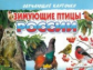Обучающие карточки. Зимующие птицы России. 3+.